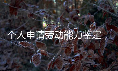 个人提出申请的个人