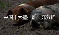 中国十大壁挂炉
：充分把握时机 结合自身特色占据市场