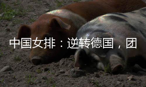 团结我不能轻易被它打死