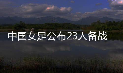 中国战亚吴澄舒落选
