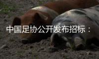中国足协公开发布招标：千万布局国足行业大模型