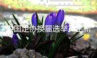 中国足协换届选举产生新一届主席、副主席