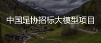 中国足协招标大模型项目，能帮助球员进球吗？