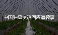 中国驻德使馆回应遭袭事件：无伤亡 嫌疑人被当场抓获