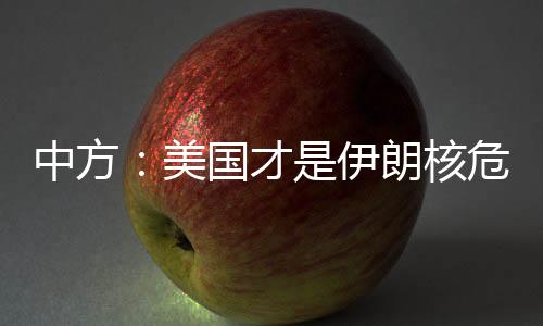 中方作俑部分安理会成员