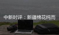 中新时评�：新疆棉花纯而白，天下何人在抹黑
�？