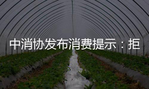 商家推出“天价”粽子