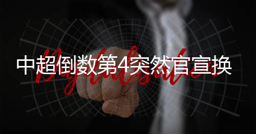 帅主帅本俱乐部经研究决定