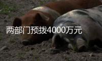 两部门预拨4000万元中央自然灾害救灾资金
，支持琼粤桂防汛防台风