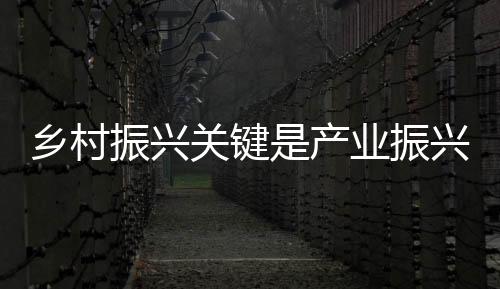 关键是乡村产业振兴