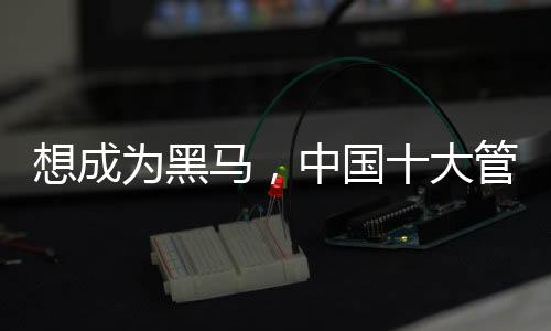 国大管业原因就在于此