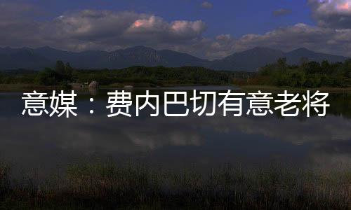 并准备把他签到费内巴切