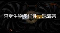感受生物多样性，珠海亲子家庭走进植物与昆虫的奇妙世界