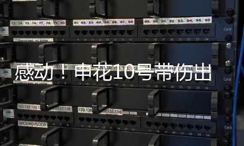 申花伤出依然首发出场
