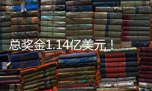在2012年还获得过一次亚军