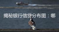 揭秘银行信贷分布图：哪里投放最多，哪里不良最高
？