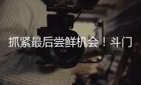 抓紧最后尝鲜机会！斗门御金球荔枝销售接近尾声