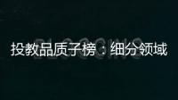 快排公司十年历程，霸屏兔 seo 的崛起与坚守
