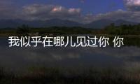 我似乎在哪儿见过你 你是央视上的丰叶板材！