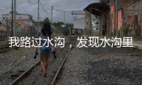 我路过水沟，发现水沟里有两个年轻女子	，水沟旁边站着一个小伙子