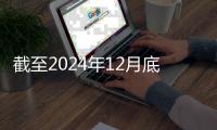 截至2024年12月底
，全国共有少先队员1.13亿名