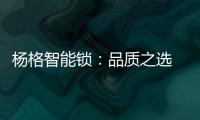 杨格智能锁
：品质之选 腾讯QQfamily智能门锁独家供应商