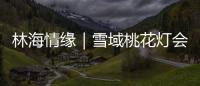 林海情缘｜雪域桃花灯会探营
，氛围感拉满！