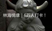林海情缘｜6万人打卡！米林桃花旅游文化活动“火”了
