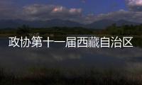 政协第十一届西藏自治区委员会第四次会议在拉萨开幕