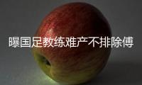 快排公司十年历程，霸屏兔 seo 的崛起与坚守