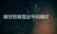 曝世预赛国足号码确定：艾克森11号 武磊7号