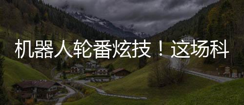 设有41个主题机器人展位