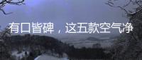 有口皆碑�，这五款空气净化器品牌是夏季最好的选择