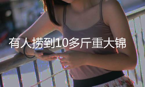 勿将锦鲤随意放入自然水域