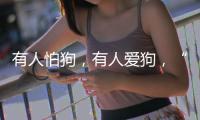 有人怕狗，有人爱狗，“宠物友好”空间能否消除对立？