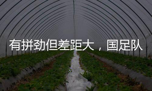足队从场上队长张玉宁