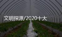 文明探源/2020十大考古发现 证中华文明起源