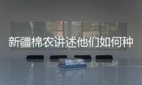 新疆棉农讲述他们如何种棉花