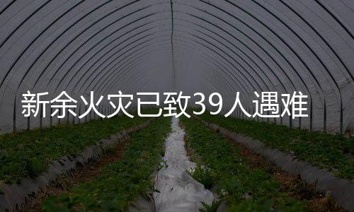 就看到对面二楼有人跳下来了
