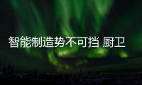 快排公司十年历程，霸屏兔 seo 的崛起与坚守
