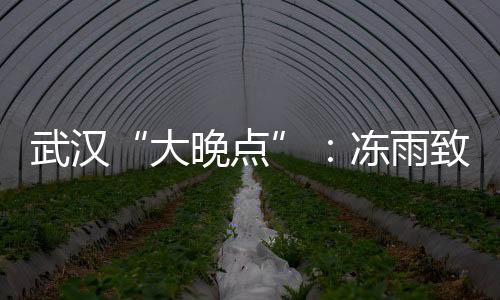 “到麻城北站时我正在睡觉