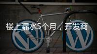 楼上漏水5个月
	，开发商和邻居“踢皮球”，法院这样判→