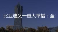 比亚迪又一重大举措：全面兜底