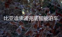比亚迪承诺兜底智能泊车！媲美L4级体验，出了问题官方赔付