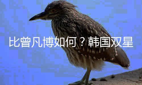 与日本队的凡博首场热身赛