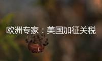 欧洲专家：美国加征关税将伤及自身 贸易战没有赢家