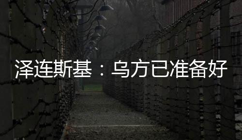 泽连公正和平的斯基提议