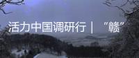 活力中国调研行｜“赣”出美丽！这里的乡村景美民富