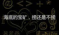 海底的宝矿�，捞还是不捞？｜世界海洋日