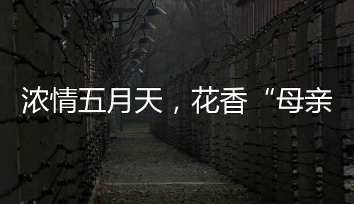 活动合影花香送祝福